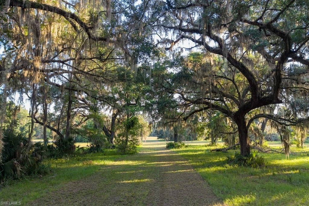 6301 E County Road 316, Citra, FL 32113 Photo