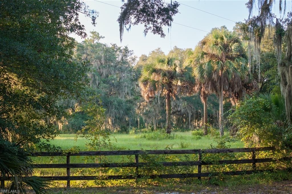 6301 E County Road 316, Citra, FL 32113 Photo
