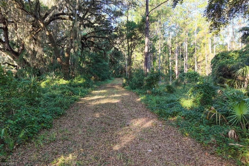 6301 E County Road 316, Citra, FL 32113 Photo