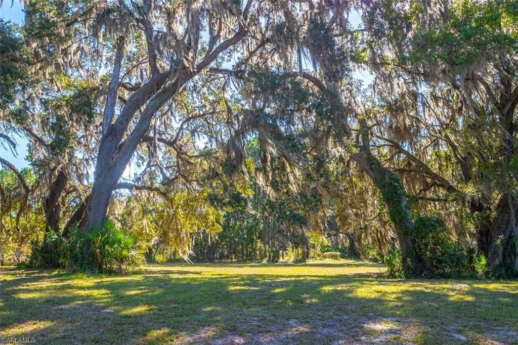 6301 E County Road 316, Citra, FL 32113 Photo