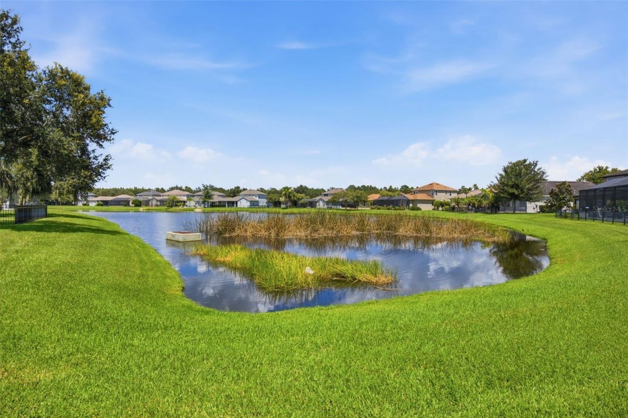 8822 Westerland Drive , Land O Lakes, FL 34637 Photo