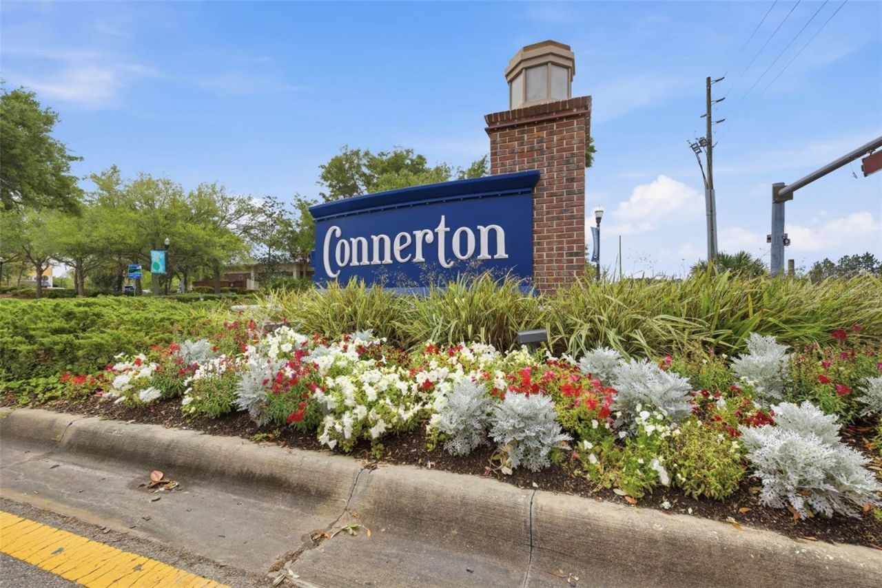 8822 Westerland Drive , Land O Lakes, FL 34637 Photo