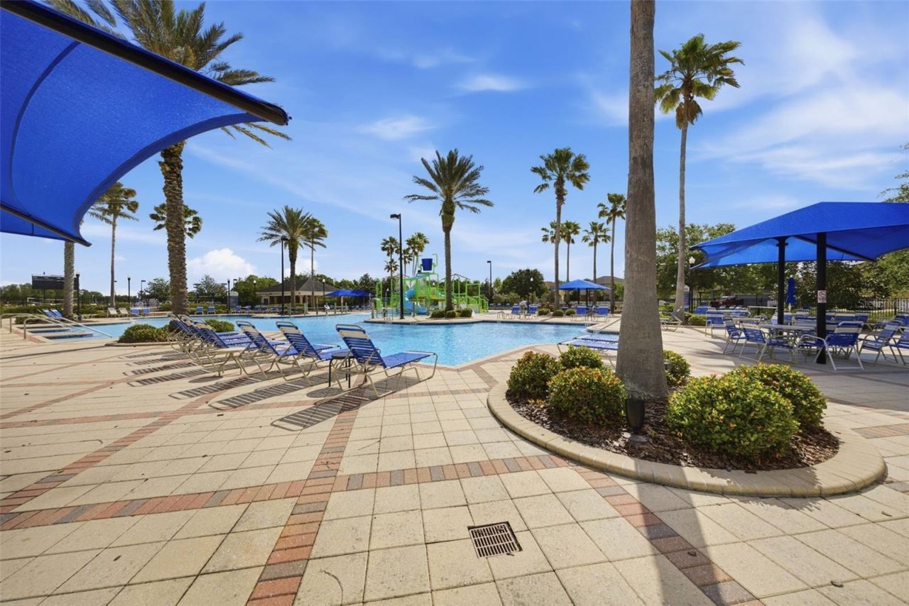 8822 Westerland Drive , Land O Lakes, FL 34637 Photo