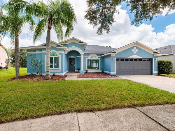 3513 PINE TOP DRIVE , VALRICO, FL 33594