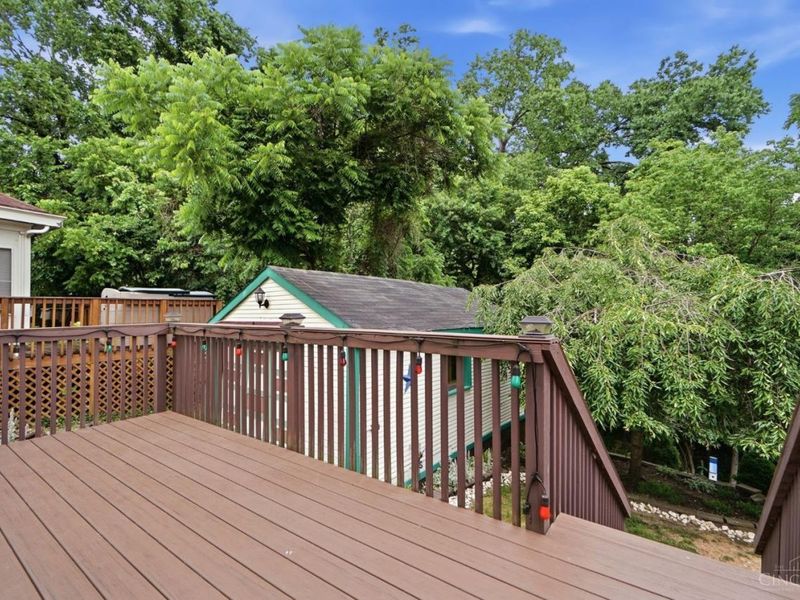 3926 Oakpark Place, Cincinnati, OH 45209 Photo 19