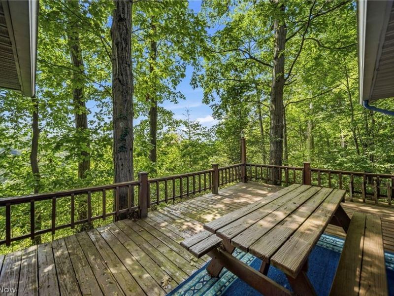 4788 River Road, Perry, OH 44081 Photo 17