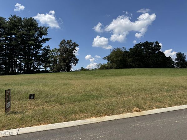 317 Olde Thompson Court, Gray, TN 37615