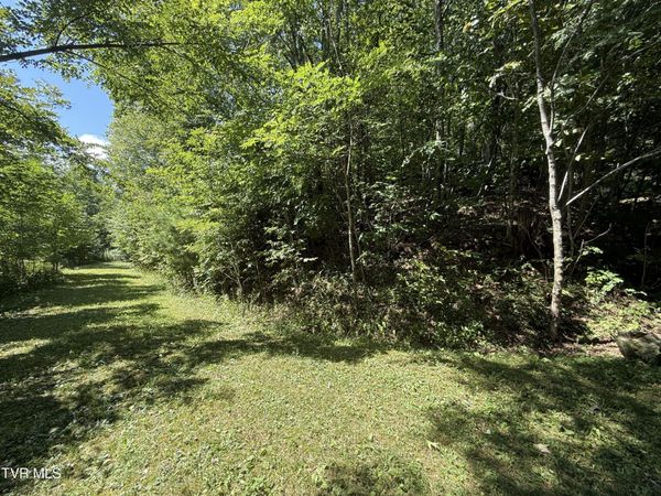 Tbd Overlook Drive, Unit 7, Roan Mountain, TN 37687
