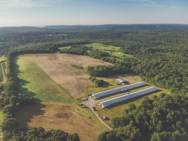 0 New Harmony Road , Pikeville, TN 37367