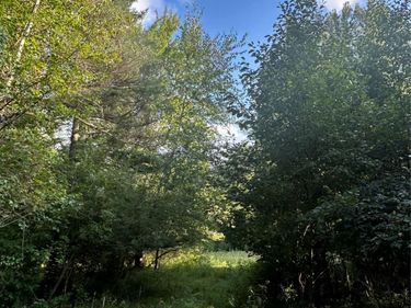 V/L Frankford Road , Wells Township, Mi 48723