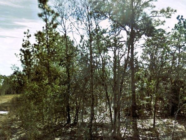 00 NE 3RD Place, Williston, FL 32696