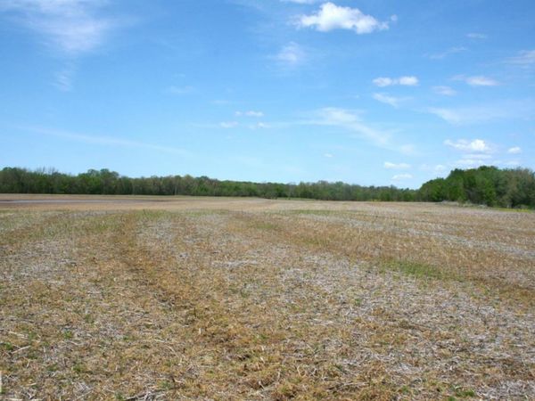60 Law 216, Black Rock, AR 72415
