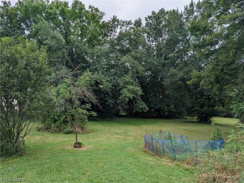 8734 Traphagen Street NW, Massillon, OH 44646 Photo 5