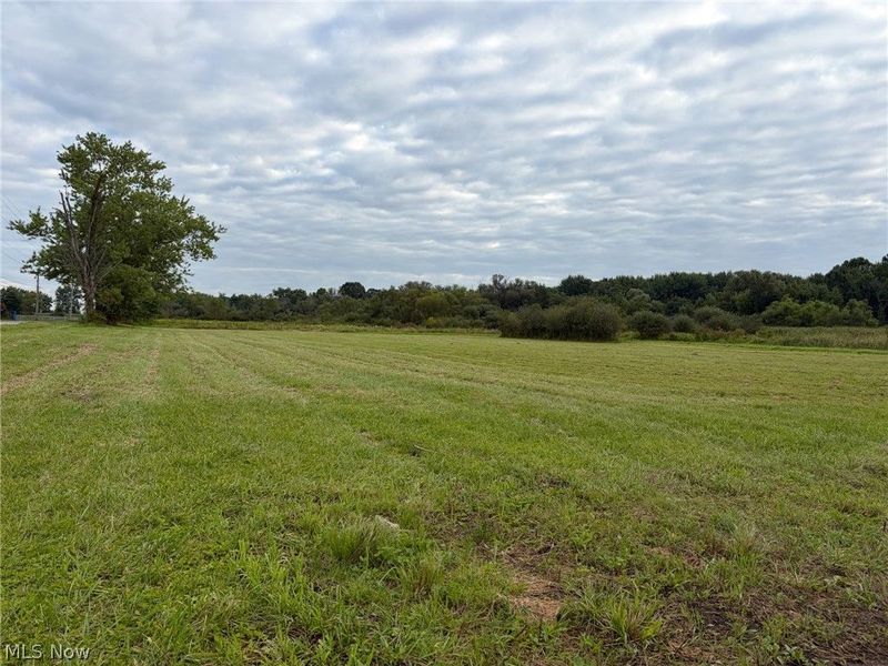 Bassinger Road, North Lima, OH 44452 Photo 3