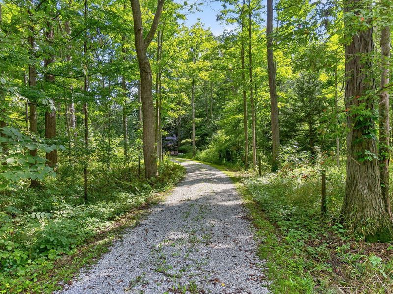 19508 County Road 190 Road, Kenton, OH 43326 Photo 126