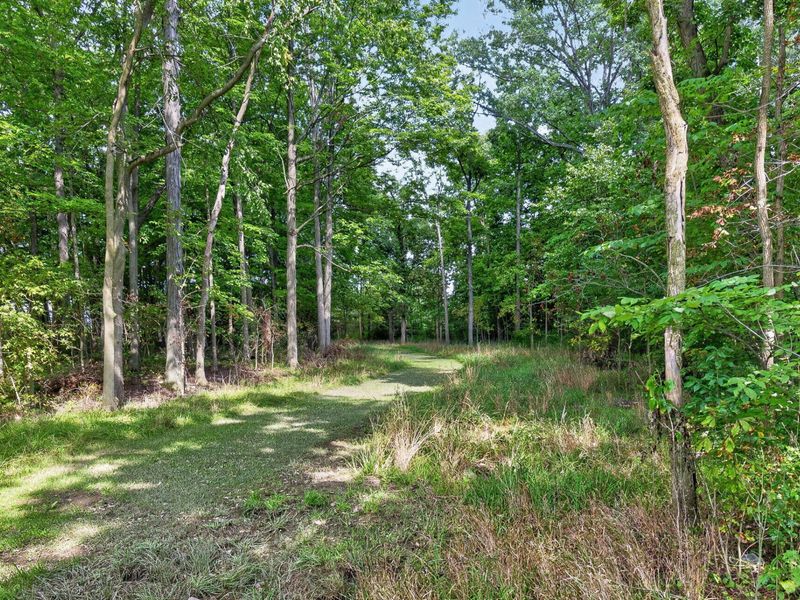 19508 County Road 190 Road, Kenton, OH 43326 Photo 90