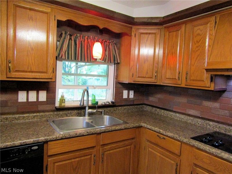 1921 Birch Trace Drive, Austintown, OH 44515 Photo 10