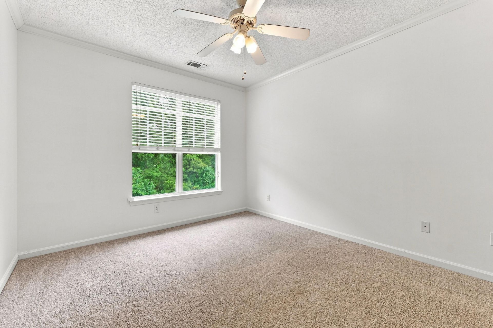 45 Sycamore Avenue Photo 13