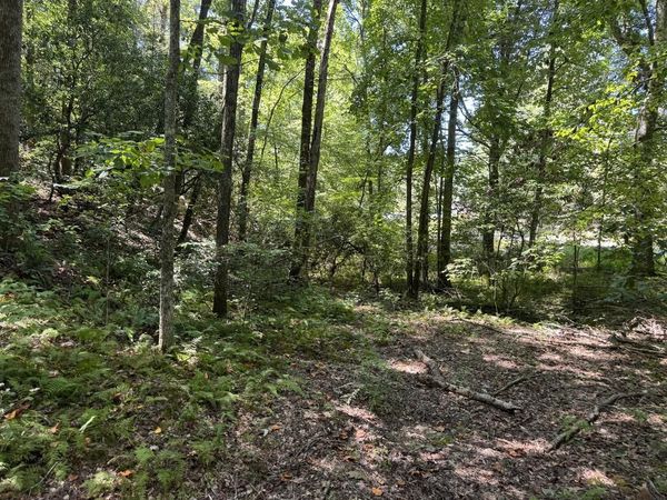 0 Laurel Ridge Drive, Cherry Log, GA 30522