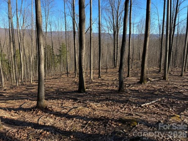 00 Crab Apple Drive , Burnsville, NC 28714