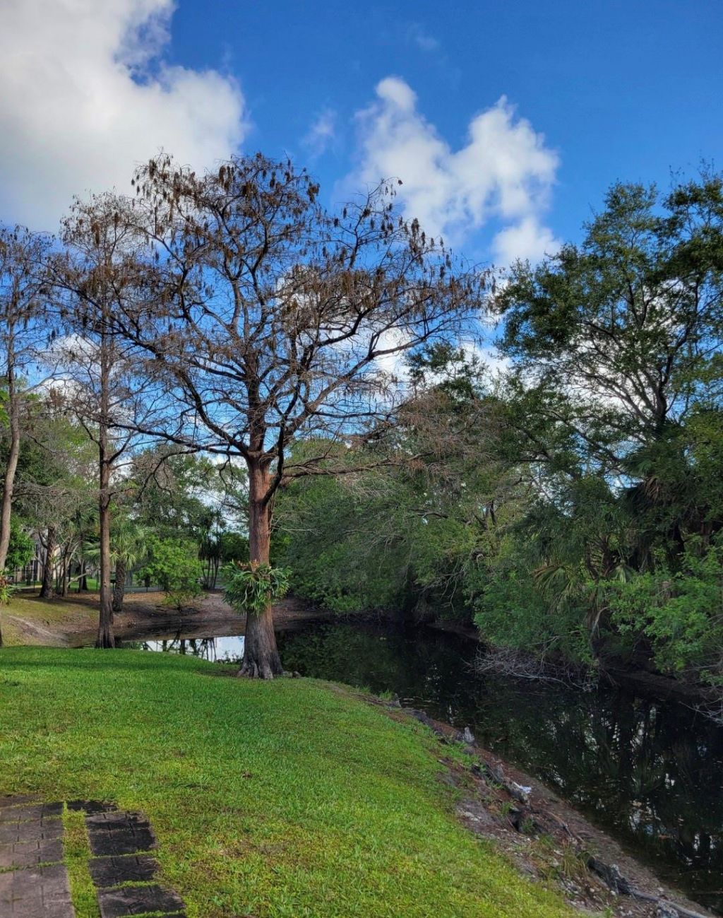 605 NW 47th Street, Pompano Beach, FL 33064 Photo