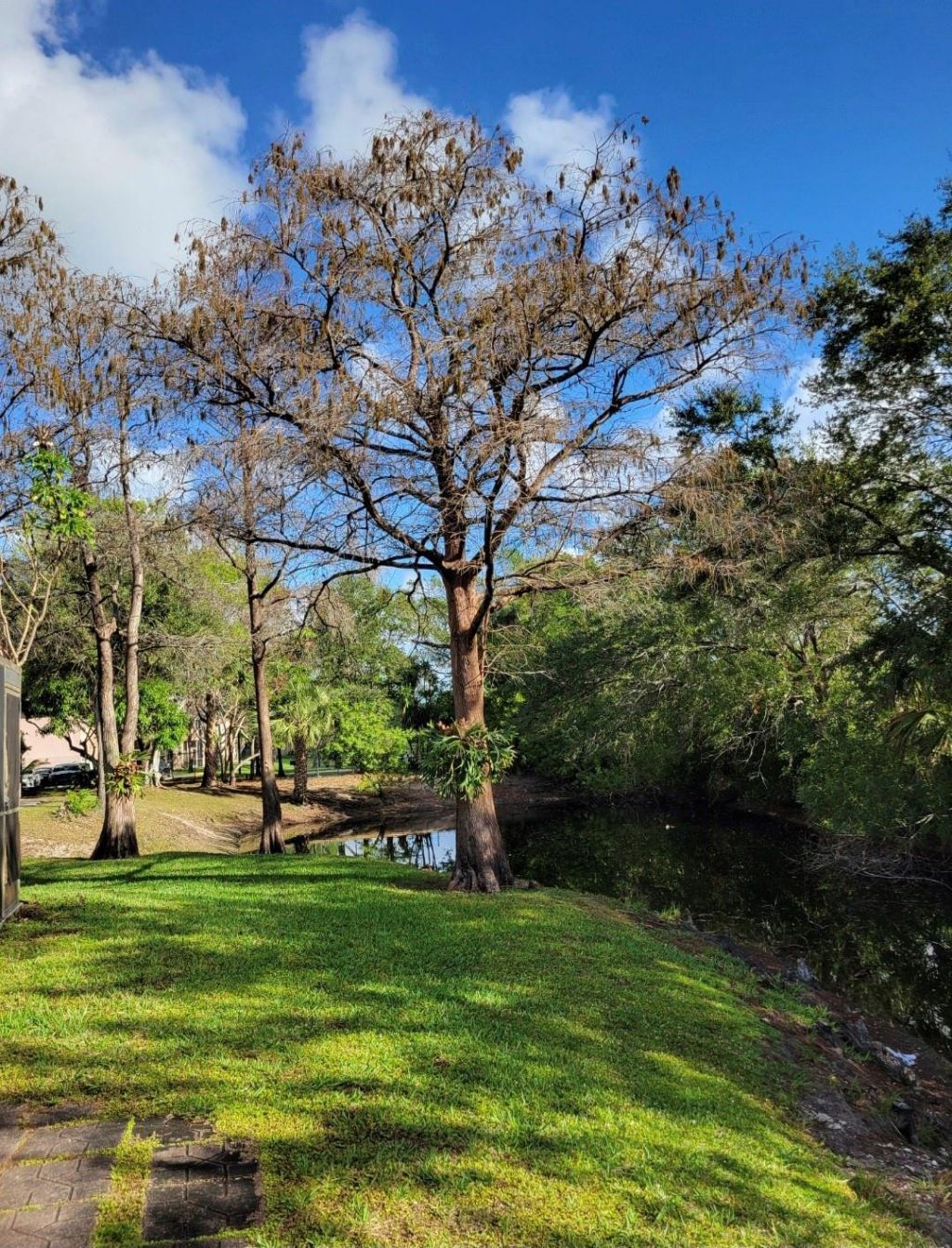 605 NW 47th Street, Pompano Beach, FL 33064 Photo