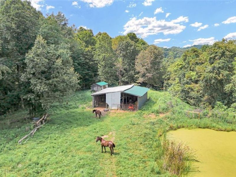 742 Peters Cave Road, Patriot, OH 45658 Photo 43