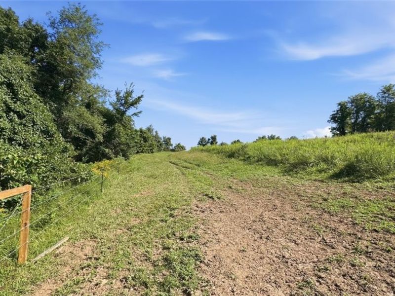 742 Peters Cave Road, Patriot, OH 45658 Photo 44