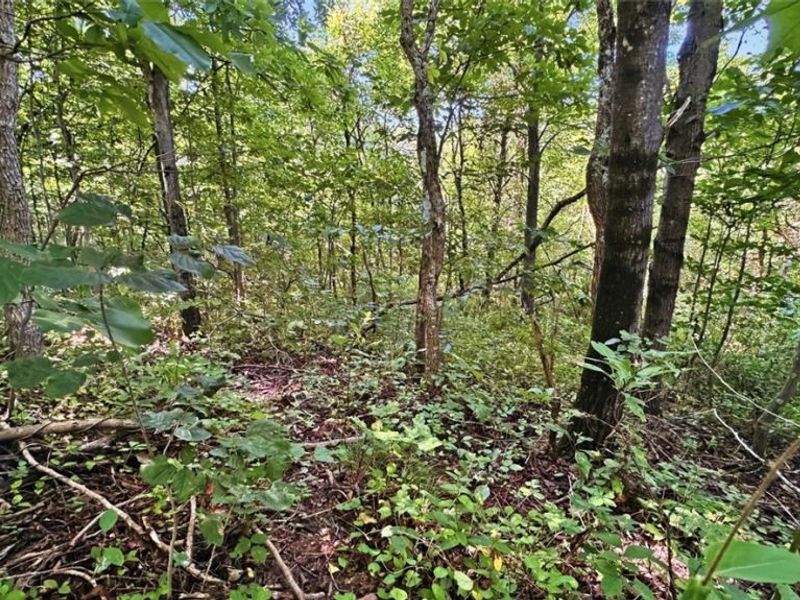 742 Peters Cave Road, Patriot, OH 45658 Photo 47