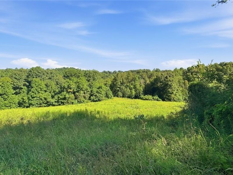 742 Peters Cave Road, Patriot, OH 45658 Photo 48