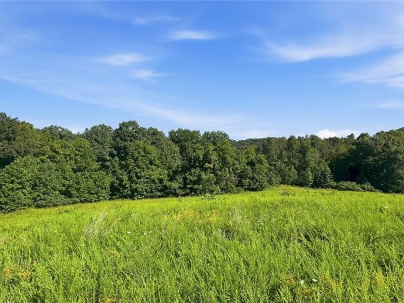 742 Peters Cave Road, Patriot, OH 45658 Photo 49