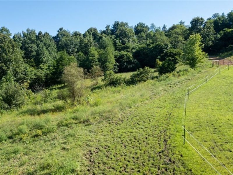 742 Peters Cave Road, Patriot, OH 45658 Photo 50