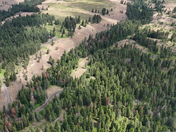 NNA Lots 25 Cloverland Estates, Asotin, WA 99402