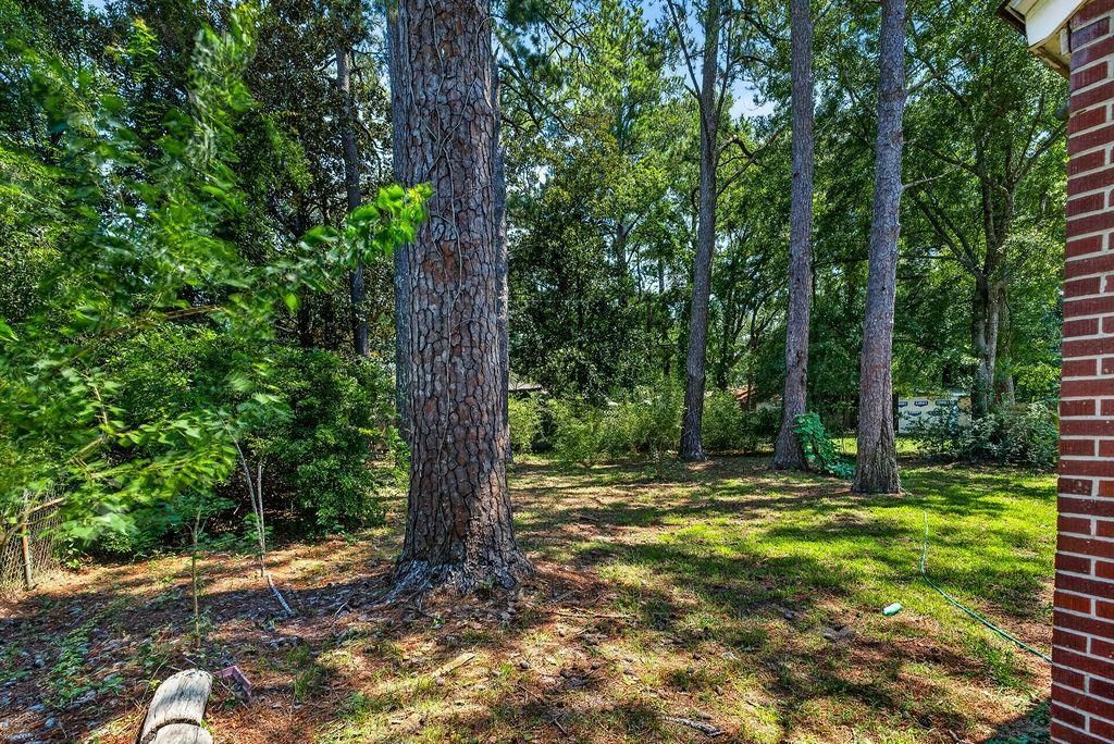 2501 Redwood St.  Photo 13