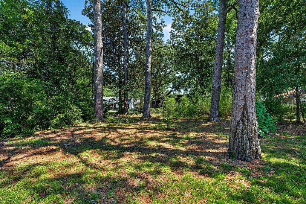 2501 Redwood St.  Photo 17