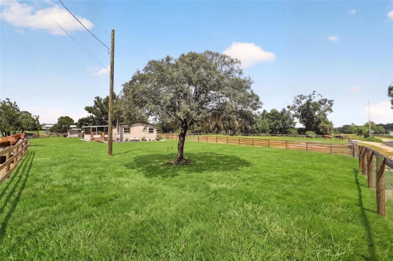8600 NE 41st Court, Anthony, FL 32617 Photo