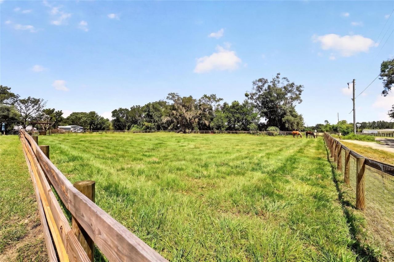 8600 NE 41st Court, Anthony, FL 32617 Photo