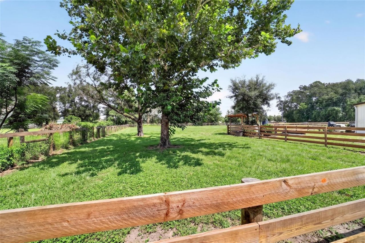 8600 NE 41st Court, Anthony, FL 32617 Photo