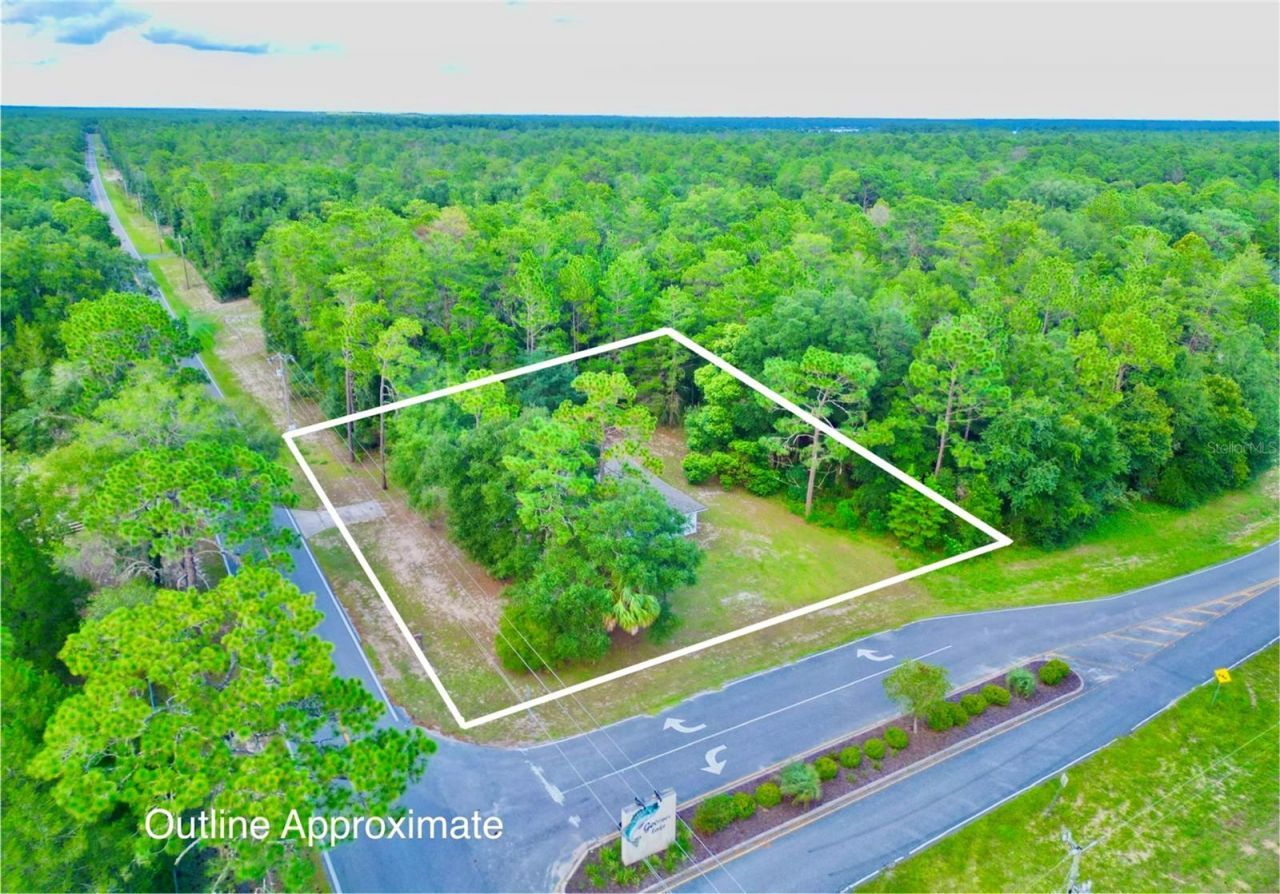 1150 Coral Farms Road, Florahome, FL 32140 Photo