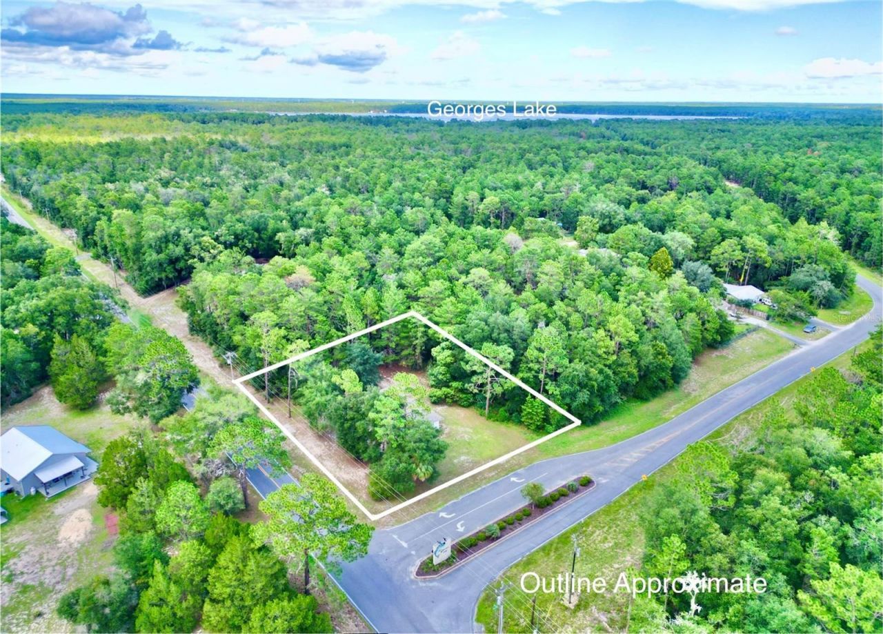 1150 Coral Farms Road, Florahome, FL 32140 Photo