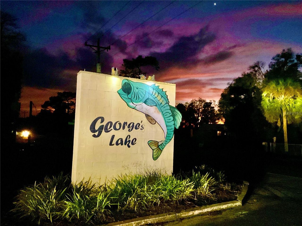 1150 Coral Farms Road, Florahome, FL 32140 Photo