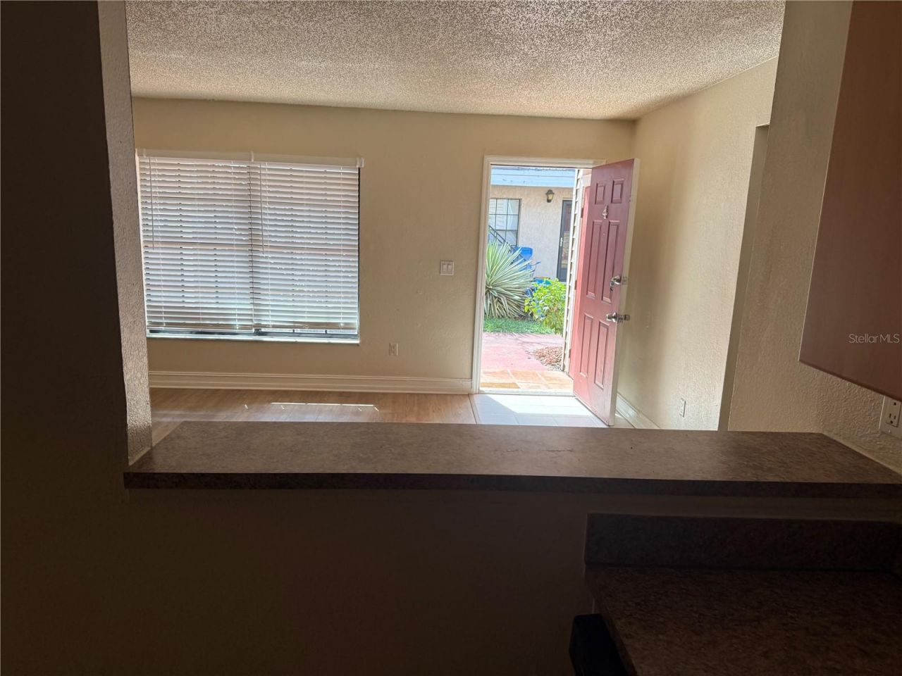 21038 Voyager Boulevard , Unit 4, Land O Lakes, FL 34638 Photo