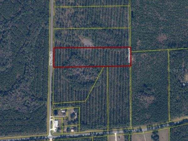 NW COUNTY RD 239 , LAKE BUTLER, FL 32054