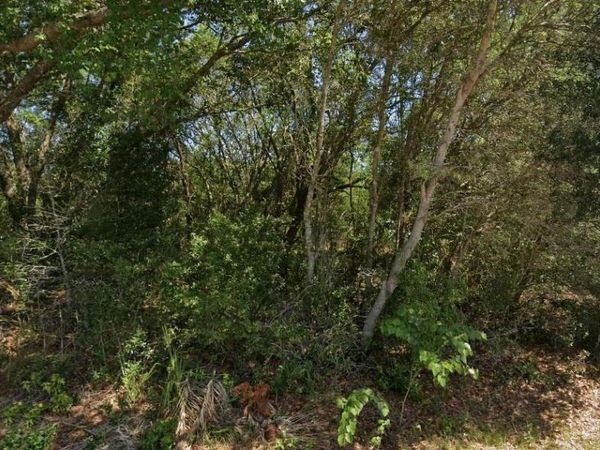 19901 FLAMINGO DRIVE , DUNNELLON, FL 34431