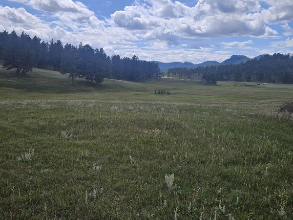 25381 Wind Song Valley Road, Custer, SD 57730