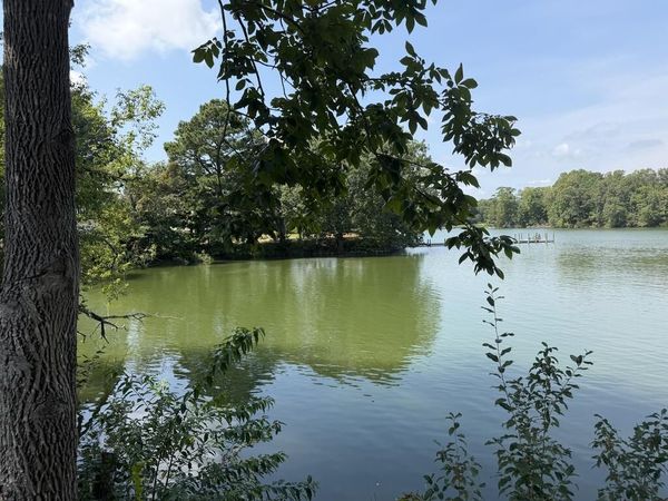 2.86 ac Point Pleasant Road, KILMARNOCK, VA 22482