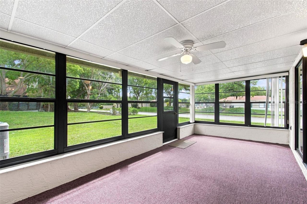 11712 Spring Tree Lane, Port Richey, FL 34668 Photo