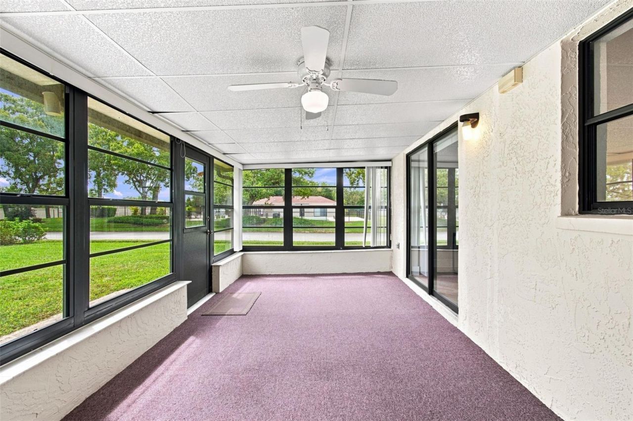 11712 Spring Tree Lane, Port Richey, FL 34668 Photo