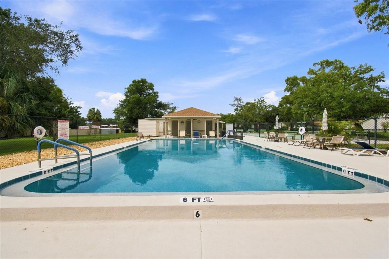 11712 Spring Tree Lane, Port Richey, FL 34668 Photo
