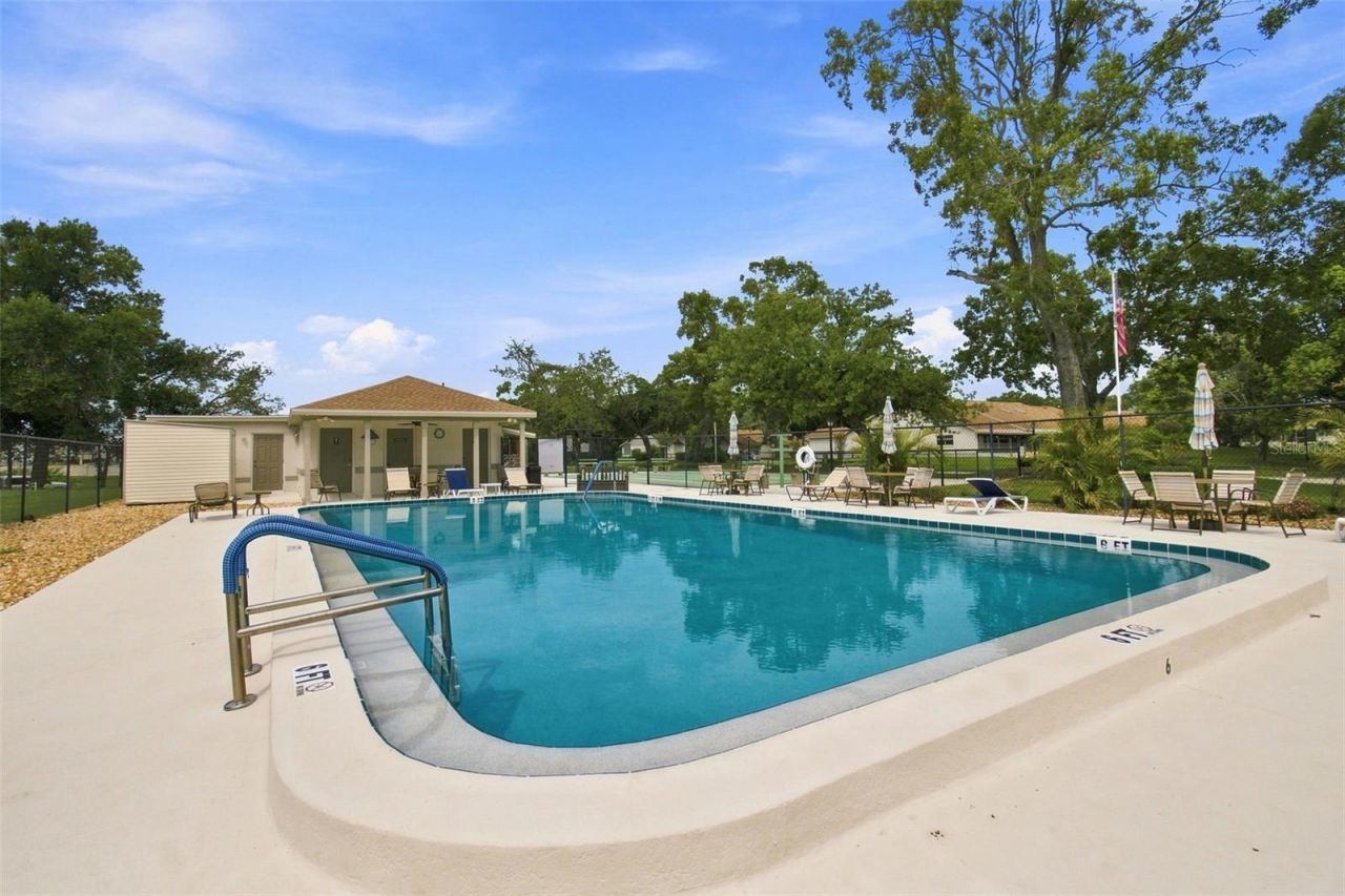 11712 Spring Tree Lane, Port Richey, FL 34668 Photo